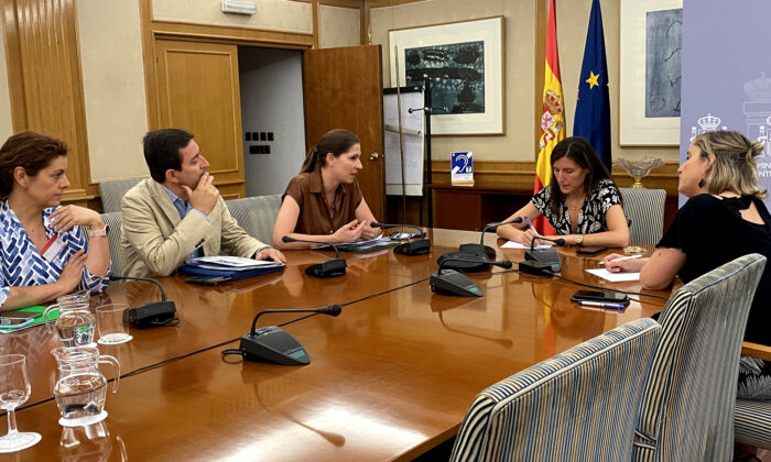 Reunión de SATSE y ANPE con la Comisionada de Salud Mental del Ministerio de Sanidad